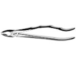 Zahnzange Anatomic Handle 351S